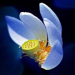 6人混乱太空合作游戏《虚空航船》即将登陆主机平台！